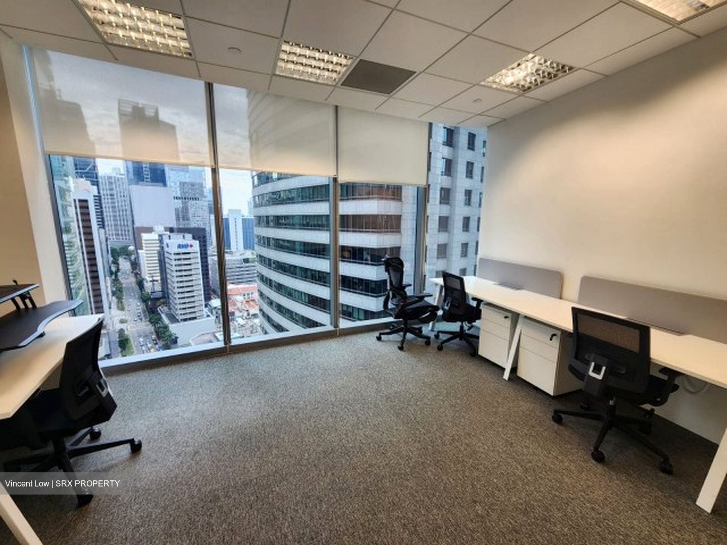 PLUS (D1), Office #517779521